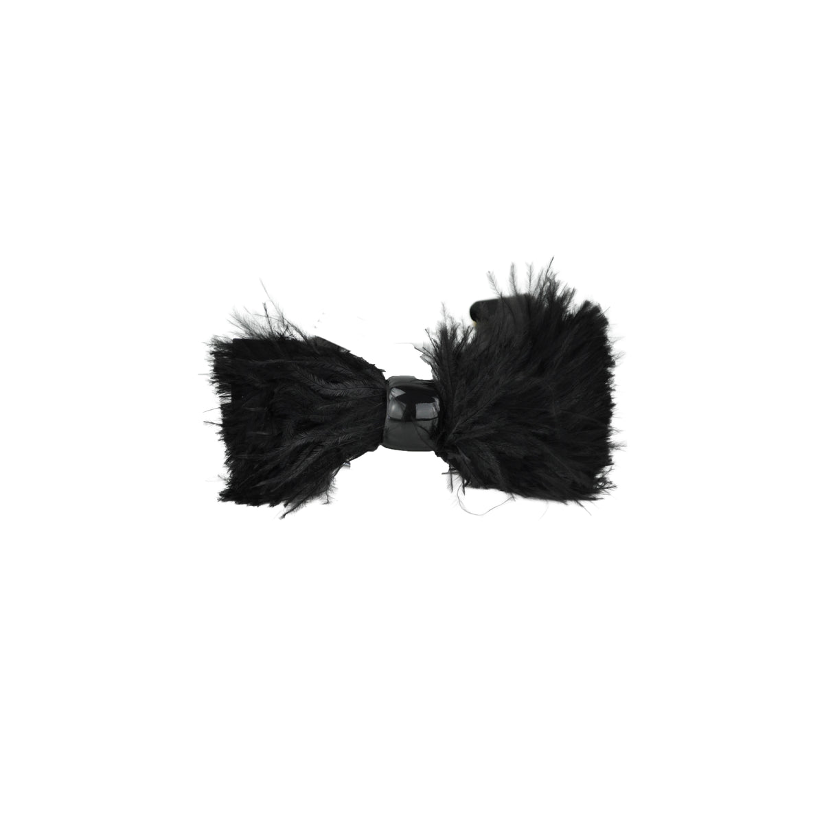 Papillon con piume